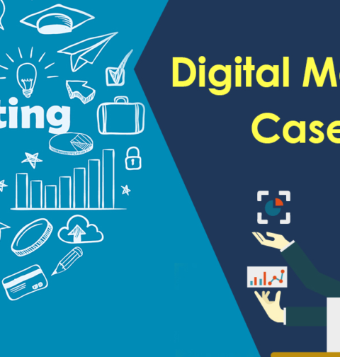 Digital Marketing Agency Case Studies