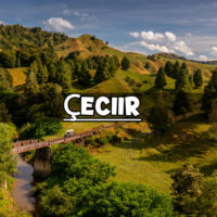 Çeciir
