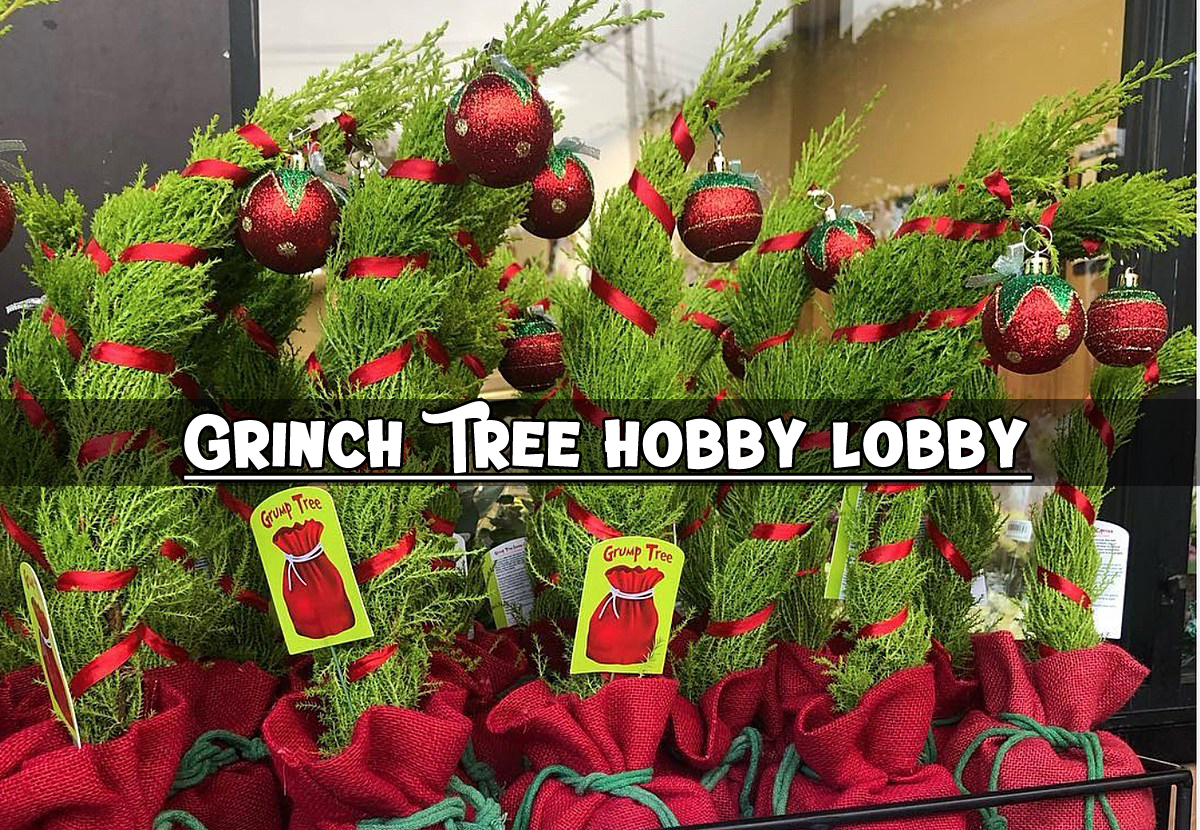 Grinch Tree Hobby Lobby Unleash Your Inner Whoville! Richmond Trees