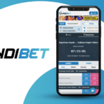 Indibet Excellence