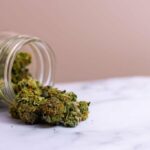 Weed Dispensary